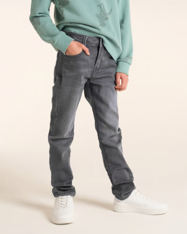 Jean slim en coton bio - Gris