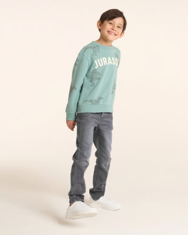 Jean slim en coton bio - Gris
