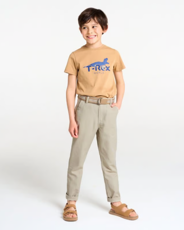 Pantalon chino slim en coton bio - Beige sable