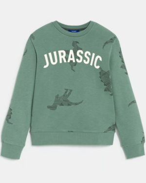 Sweat-shirt imprimé dinosaures en coton biologique - Vert